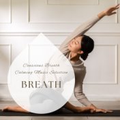 Breath: Conscious Breath Calming Music Selection