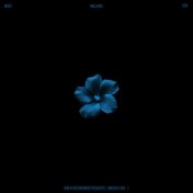 808 Hi Recordings Presents: Hibiscus, Vol. 1