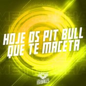 Hoje os Pit Bull Que Te Maceta