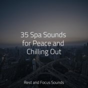 35 Spa Sounds for Peace and Chilling Out