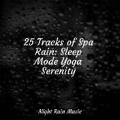 25 Tracks of Spa Rain: Sleep Mode Yoga Serenity