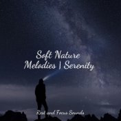 Soft Nature Melodies | Serenity