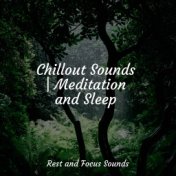 Chillout Sounds | Meditation and Sleep