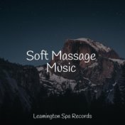 Soft Massage Music