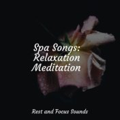 Spa Songs: Relaxation Meditation