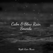 Calm & Slow Rain Sounds