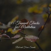 35 Tranquil Tracks for Meditation