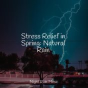 Stress Relief in Spring: Natural Rain