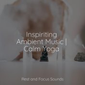 Inspiriting Ambient Music | Calm Yoga