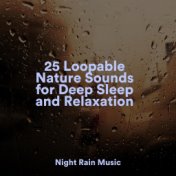 25 Loopable Nature Sounds for Deep Sleep and Relaxation