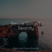 Serene Songs | Serenity