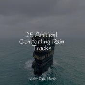25 Ambient Comforting Rain Tracks