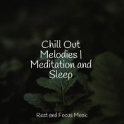 Chill Out Melodies | Meditation and Sleep