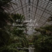 40 Sounds of Nature - Calm & Stress Relief