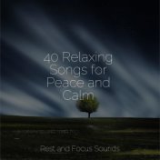 40 Relaxing Songs for Peace and Calm