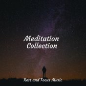 Meditation Collection