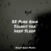 25 Pure Rain Sounds for Deep Sleep