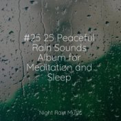 #25 25 Peaceful Rain Sounds Album for Meditation and Sleep