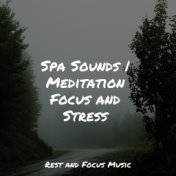 Spa Sounds | Meditation Focus and Stress