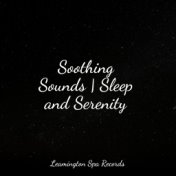 Soothing Sounds | Sleep and Serenity