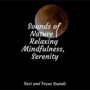 Sounds of Nature | Relaxing Mindfulness, Serenity