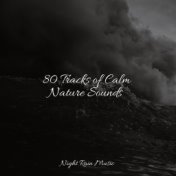 80 Tracks of Calm Nature Sounds