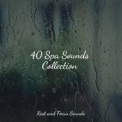 40 Spa Sounds Collection