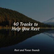40 Tracks to Help You Rest