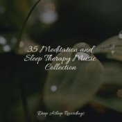 35 Meditation and Sleep Therapy Music Collection