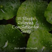 35 Stress Relieving Compilation for Sleep