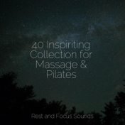 40 Inspiriting Collection for Massage & Pilates