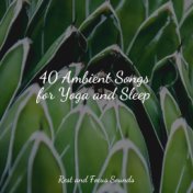 40 Ambient Songs for Yoga and Sleep