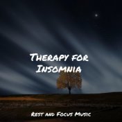 Therapy for Insomnia