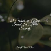 25 Sounds of Nature Sounds for Spa & Serenity