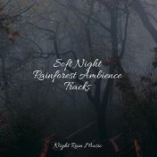 Soft Night Rainforest Ambience Tracks