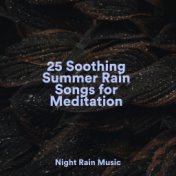 25 Soothing Summer Rain Songs for Meditation