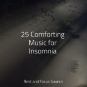 25 Comforting Music for Insomnia