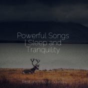 Powerful Songs | Sleep and Tranquility