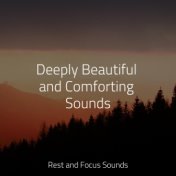 Deeply Beautiful and Comforting Sounds
