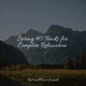 Spring 40 Tracks for Complete Relaxation
