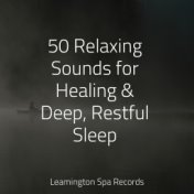 50 Relaxing Sounds for Healing & Deep, Restful Sleep