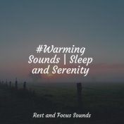 Relaxation Sounds | Meditation