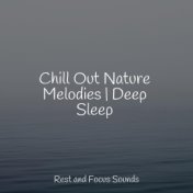 Chill Out Nature Melodies | Deep Sleep