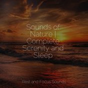 Sounds of Nature | Complete Serenity and Sleep