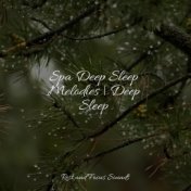 Spa Deep Sleep Melodies | Deep Sleep