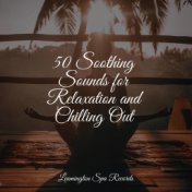 50 Soothing Sounds for Relaxation and Chilling Out