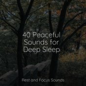 40 Peaceful Sounds for Deep Sleep