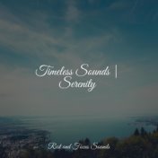 Timeless Sounds | Serenity