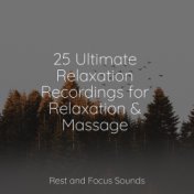 25 Ultimate Relaxation Recordings for Relaxation & Massage