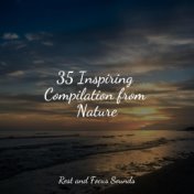 35 Inspiring Compilation from Nature